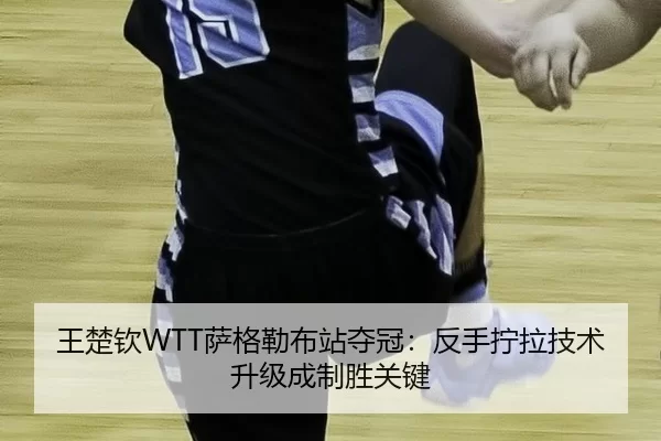 wang-chu-qin-sa-ge-lei-bu-zhan-duo-guan-fan-shou-ning-la-ji-shu-sheng-ji-cheng-zhi-sheng-guan-jian-2-891.jpg